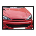 Calandre Peugeot 206 - MS accessoires Auto